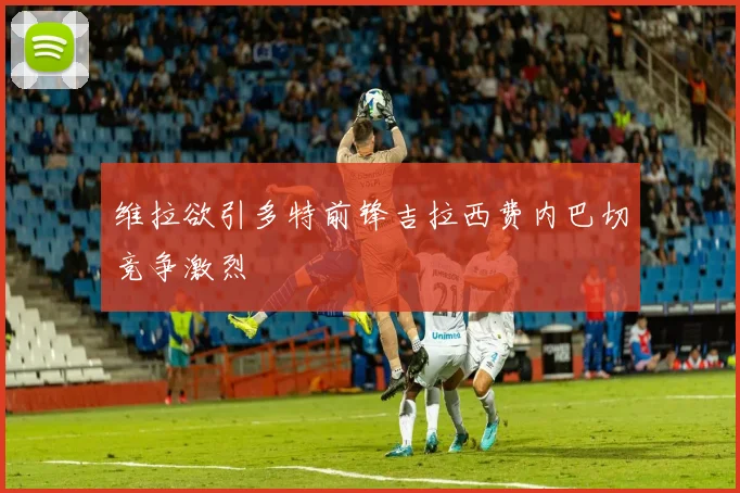 维拉欲引多特前锋吉拉西费内巴切竞争激烈