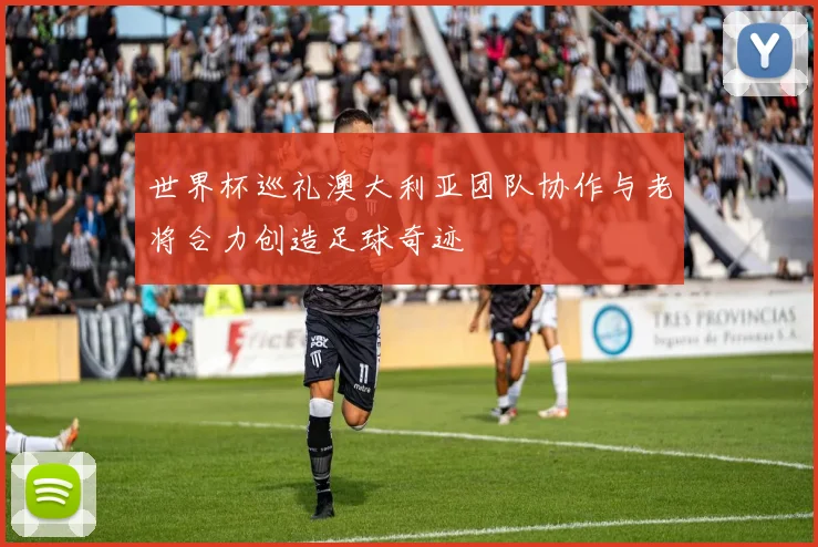 世界杯巡礼澳大利亚团队协作与老将合力创造足球奇迹