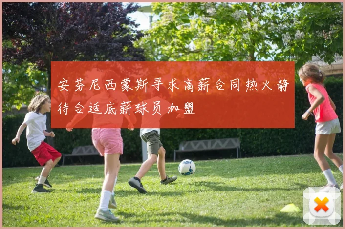 安芬尼西蒙斯寻求高薪合同热火静待合适底薪球员加盟
